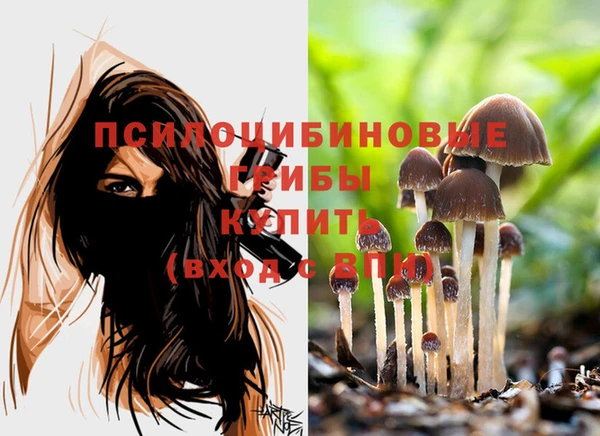 герыч Рославль