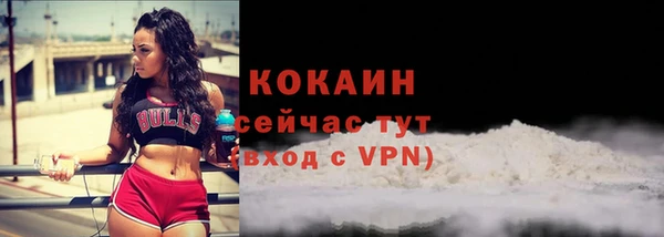 индика Ростов