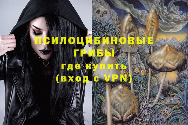 mdpv Алексин