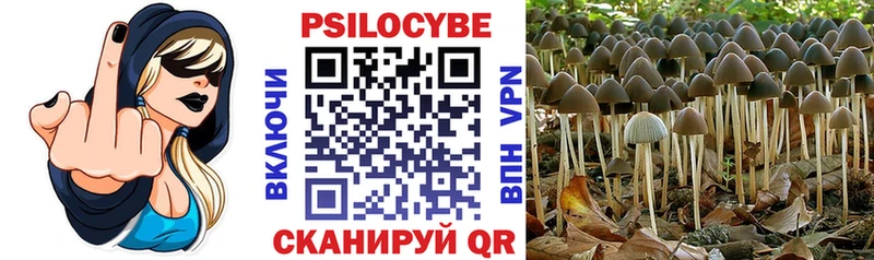 Псилоцибиновые грибы Psilocybe где можно купить наркотик Липки